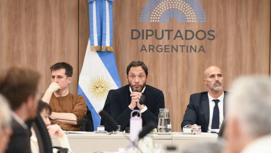 Nuevas reuniones en Diputados por el caso $LIBRA:. Foto: Gentileza Infobae.