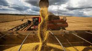 El Gobierno llevó a 0% las retenciones al campo hasta fines de octubre: los detalles del decreto