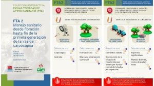 Salió la ficha técnica N° 2 del INTA sobre manejo de carpocapsa y grafolita