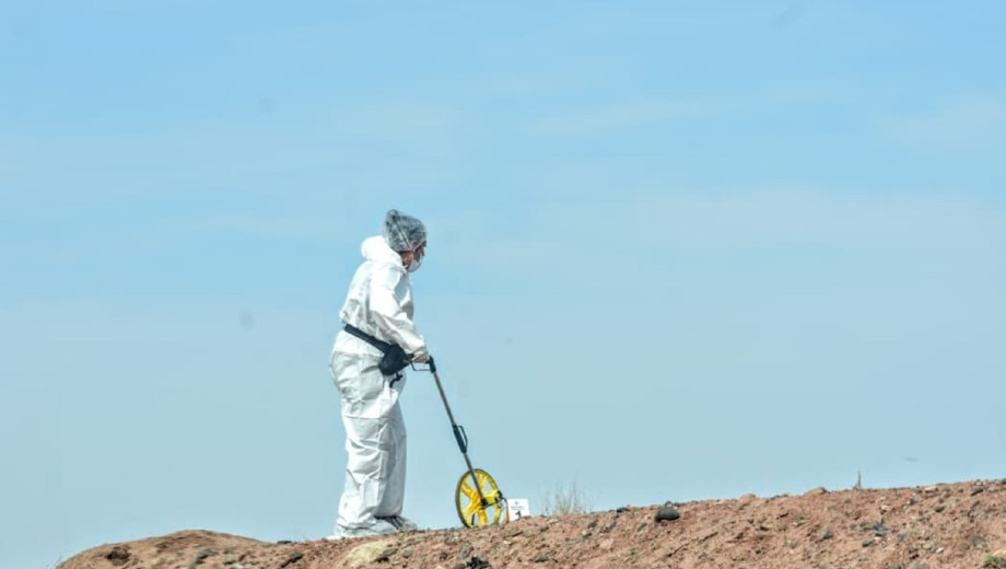 Mujer hallada en el basural de Neuquén: buscan reconstruir su imagen facial y se sumó Policía Federal. Foto: Cecilia Maletti