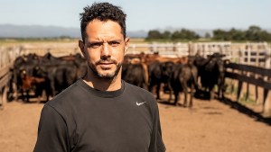 «Redujimos el ciclo en un 40%»: apuestan a la recría a corral para adaptarse al nuevo mercado