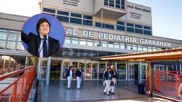 Emergencia pediátrica: los puntos claves de la ley que vetó Javier Milei y que beneficiaba al hospital Garrahan