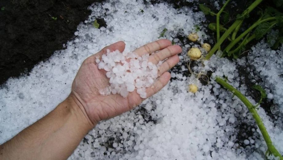 Alerta por viento, ráfagas, granizo y tormentas. Foto: Gentileza Noticias Argentinas.