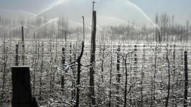 Heladas en Río Negro y Neuquén: pronóstico para la noche del sábado 25 de octubre de 2025