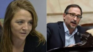 Apuntan contra un diputado de Río Negro por su rol en la comisión de $LIBRA: «Ficha limpia para los demás»