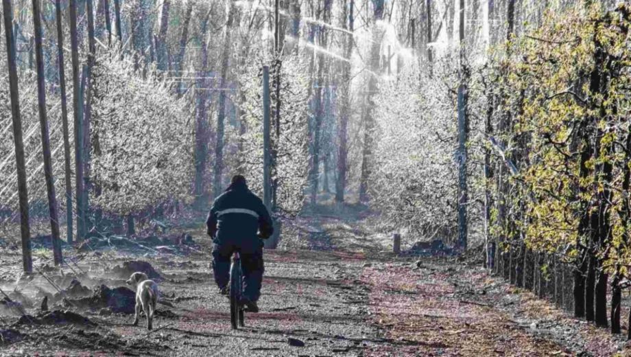 Foto: archivo Juan Thomes. 