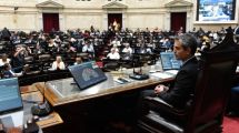 Imagen de Sesión especial en Diputados: la oposición convocó para tratar dos vetos de Javier Milei el próximo miércoles
