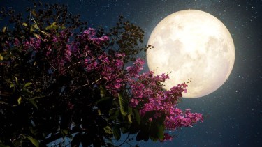 ¡Preparate! para la Luna Llena del 7 de septiembre: tres rituales sencillos para atraer riqueza y prosperidad