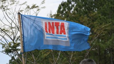 Del riesgo de cierre a la reestructuración: el Gobierno nombró a las nuevas autoridades del INTA y otros organismos