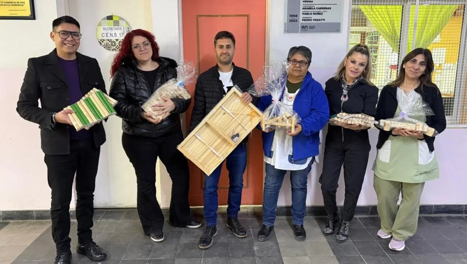 Los juegos donados fueron elaborados por personas privadas de su libertad en el Penal Nº1 de Viedma. Foto gentileza.