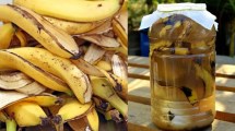 Imagen de Cómo preparar fertilizantes caseros con cáscaras de banana y restos de cocina
