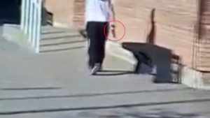 Mendoza: una adolescente se encerró con un arma en una escuela y disparó al aire