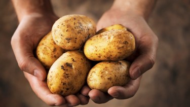 Cuál es la mejor forma de cocinar la papa para mantener todos sus nutrientes 