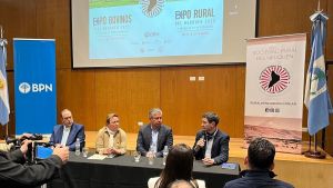 Rolando Figueroa y el alto costo del asado con hueso: «Vendieron que era por la barrera y es mentira»