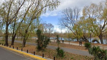 Rescataron a una familia que quedó varada por el viento en una isla del río Limay: junto a sus perros y sin «chalecos salvavidas»