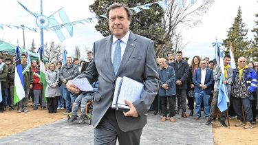 Weretilneck sobre presuntas coimas en ANDIS: “Esperamos una respuesta clara del gobierno”