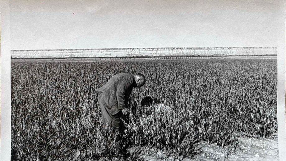 Don Juan Erich Rosauer en el vivero.