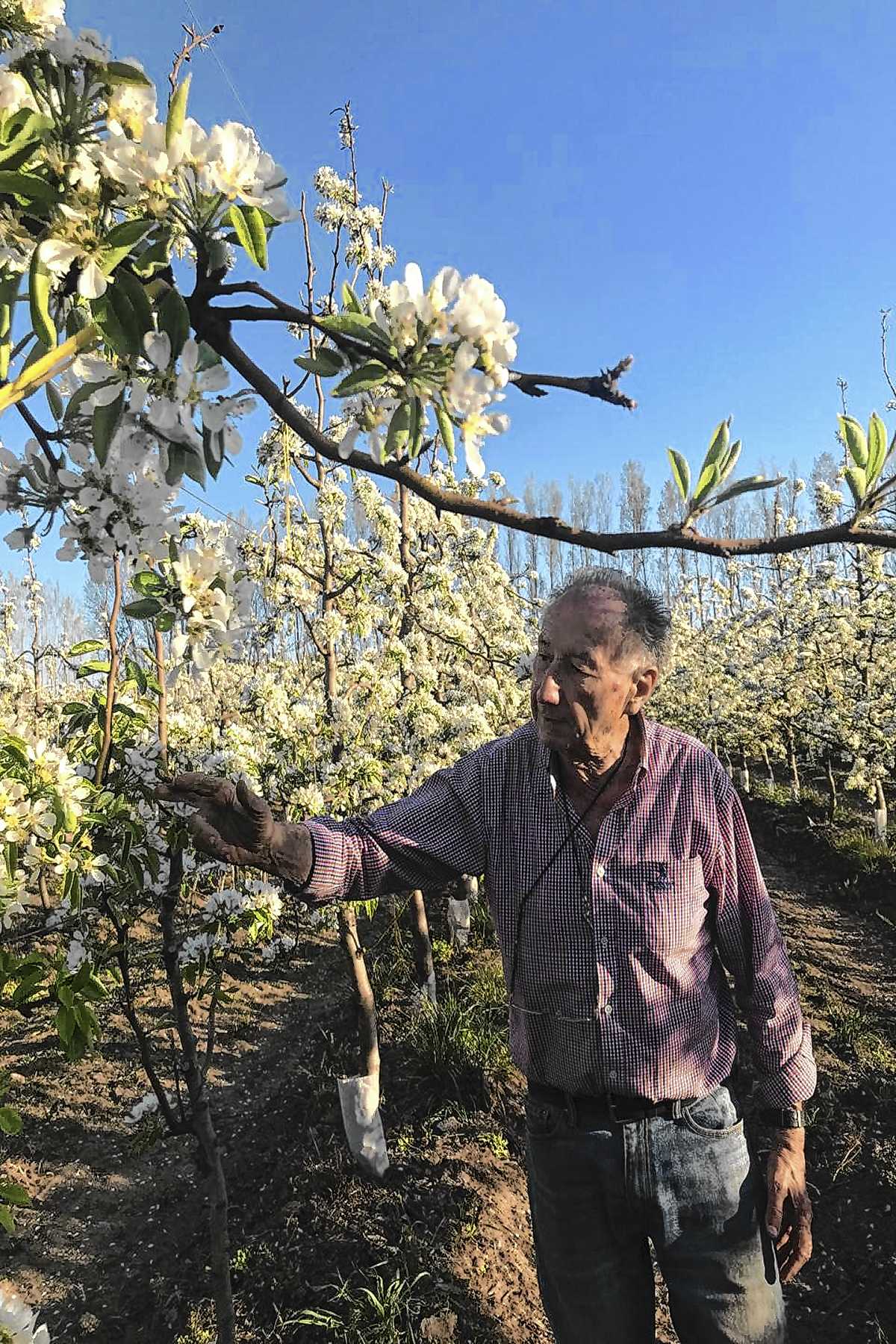 Roberto Rosauer, padre de los actuales directivos del vivero.