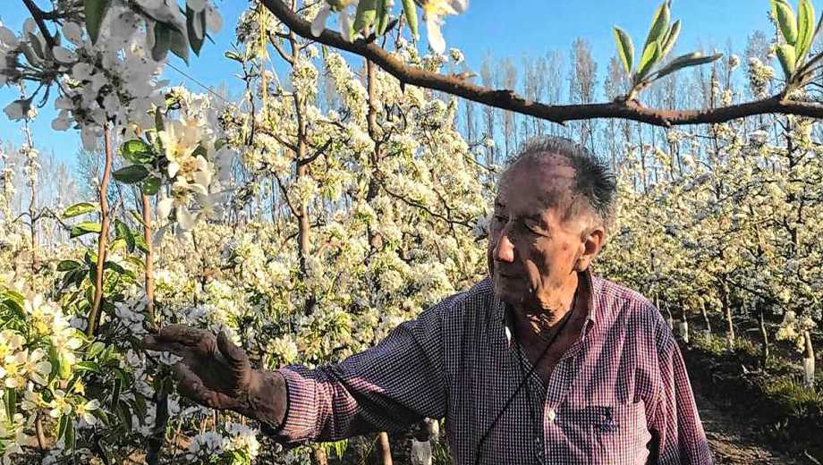 Roberto Rosauer, padre de los actuales directivos del vivero.