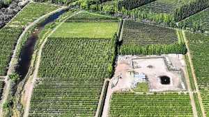 Impactos de Vaca Muerta en el Alto Valle productivo: invitan a semana de estudio en la Facultad de Agrarias