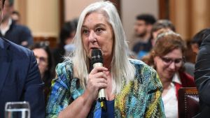 Una senadora de Chubut calificó el rechazo al veto de Javier Milei como un freno «a la motosierra» contra los vulnerables