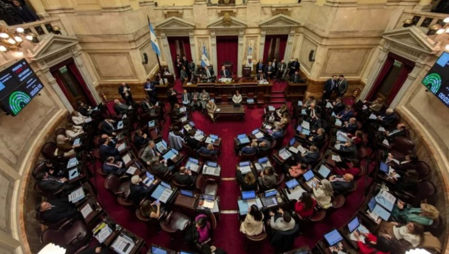 Un sector del Senado  busca dar un revés al gobierno de Javier Milei. Foto: Gentileza NA. 
