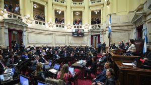 Video | Contundente rechazo del Senado al veto de Javier Milei para el reparto de ATN a las provincias