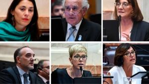 Cómo votaron los senadores de Neuquén, Río Negro y la Patagonia el veto de Javier Milei al reparto de ATN