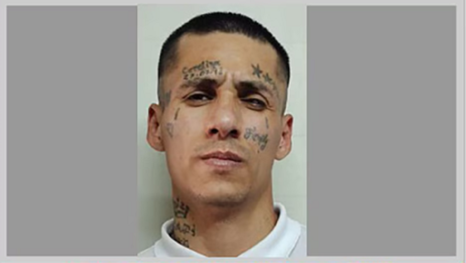 Se entregó el integrante de la banda «Bin Laden» que estaba prófugo en Neuquén: "Se vio acorralado"