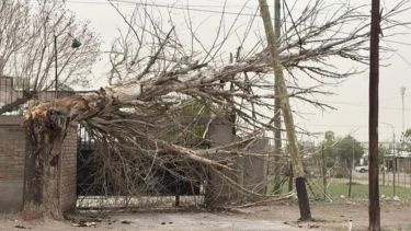 Alerta por viento y ráfagas de hasta 90 km/h en tres provincias de la Patagonia este lunes