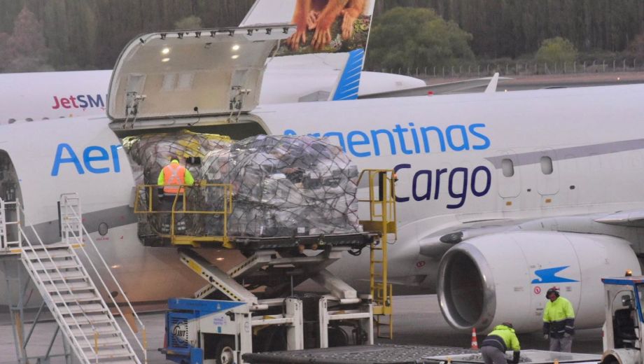 Comenzaron los vuelos de carga a Neuquén. Foto: Matías Subat. 