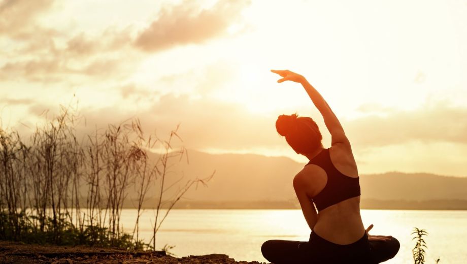 La postura del gato es ideal para quienes pasan mucho tiempo frente a la computadora.-