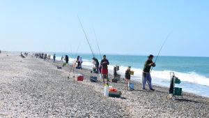 Playa Las Conchillas: la Fiesta Nacional del Pejerrey un clásico de la pesca en Patagonia