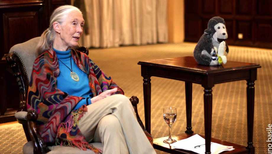 Jane Goodall, primatóloga británica. Foto: gentileza Bruno Basile.-