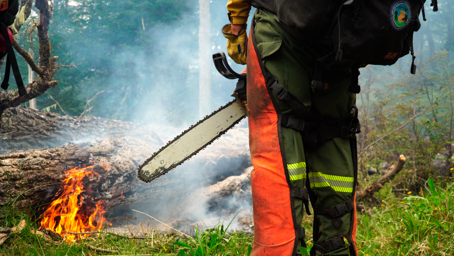 Miradas en medio del combate de las llamas.  Foto: gentileza Ecos del Fuego. 