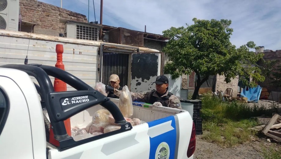 La Policía de Río Negro y la Secretaría de Ganadería decomisaron más de 700 kilos de carne en mal estado en carnicerías de Cinco Saltos.

