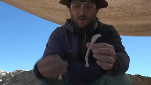 Expedición desde Roca para el mundo: la búsqueda y hallazgo de fósiles en vivo y en directo