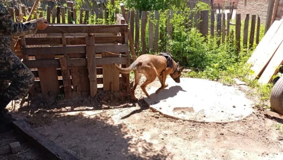 La Justicia investiga el presunto femicidio de Gabriela Barrios en Chaco. Foto Diario Norte.