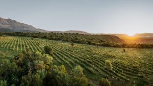 Sierras de Córdoba, paisajes y viñedos: reciben las Jornadas Nacionales de Turismo del Vino