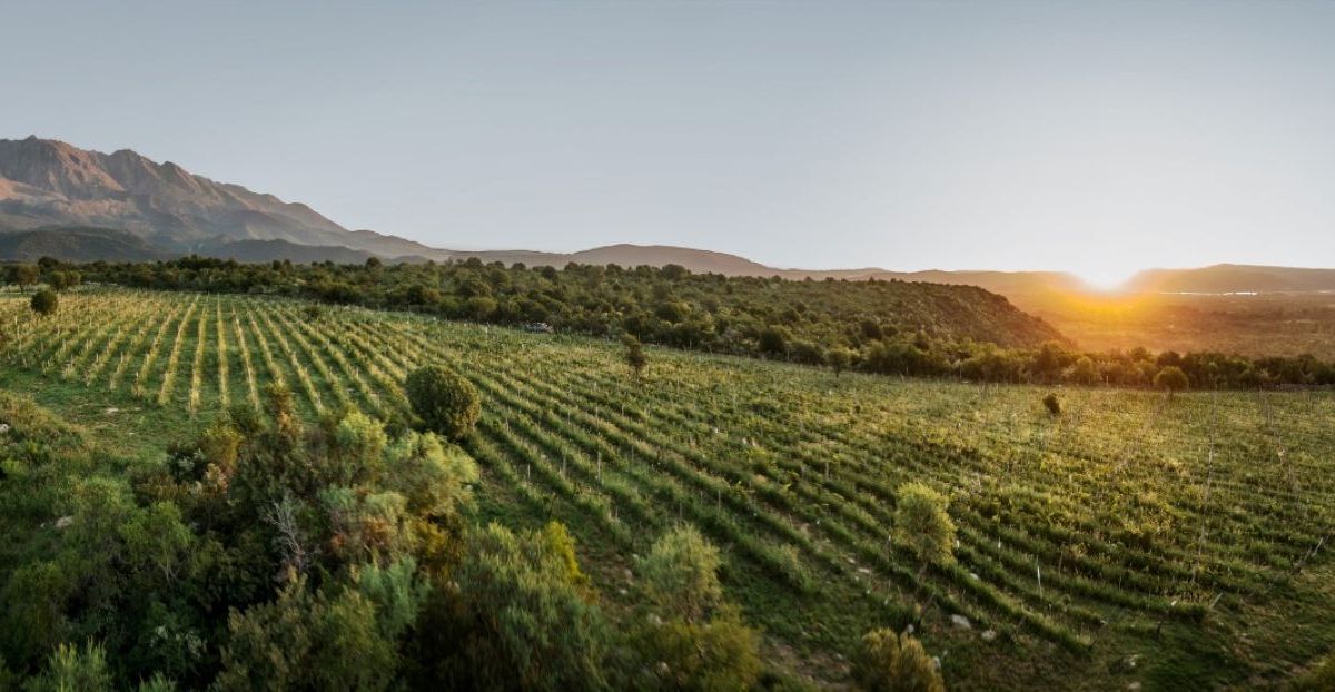 Entre sierras y viñedos, Córdoba recibe las Jornadas Nacionales de Turismo del Vino