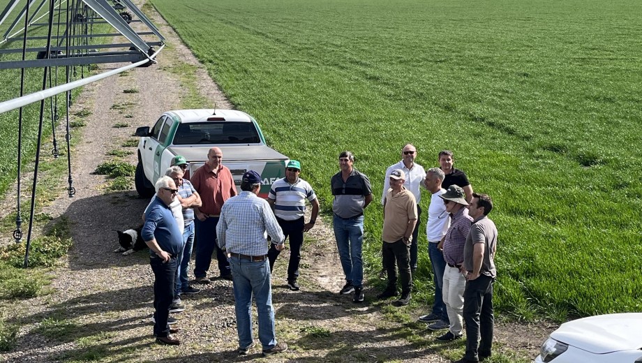 Representantes del gobierno de Río Negro e integrantes de AFA en una visita a campo.
