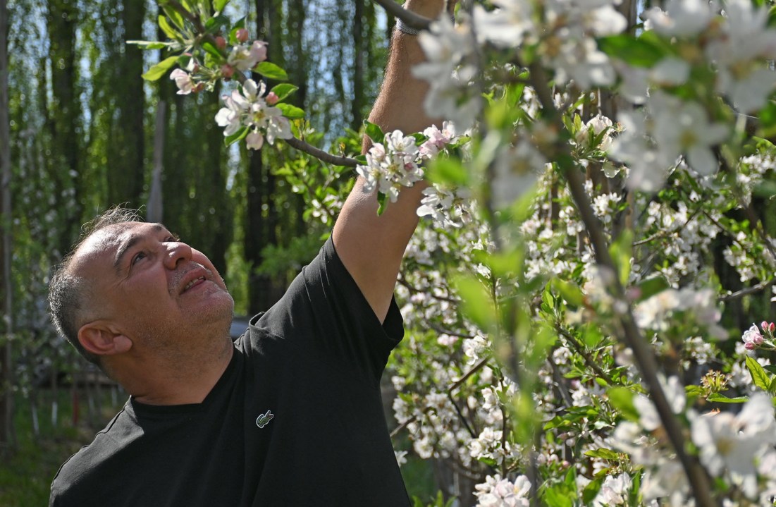 Gustavo Arno, productor frutícola de Río Negro.