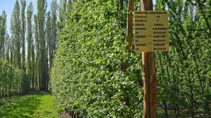 Webinar gratuito: nuevas tecnologías de control climático en frutales