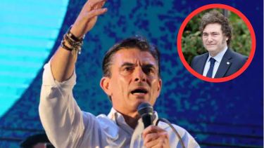 Elecciones en Bolivia | Javier Milei felicitó a Rodrigo Paz por su triunfo: “Van a ingresar al mundo libre”