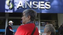 Imagen de La Anses sorprendió y habilitó el trámite de la PUAM por internet: quienes pueden acceder
