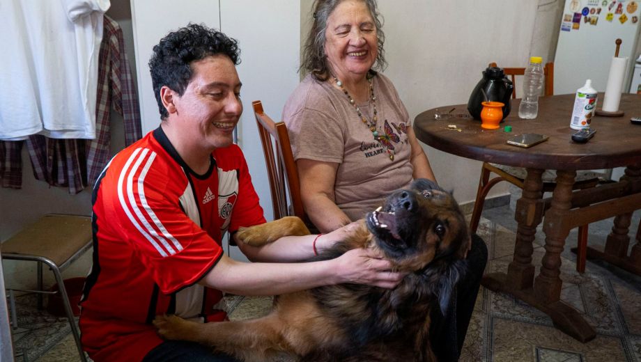 No hay un censo de animales en la provincia. Foto: Marcelo Martinez