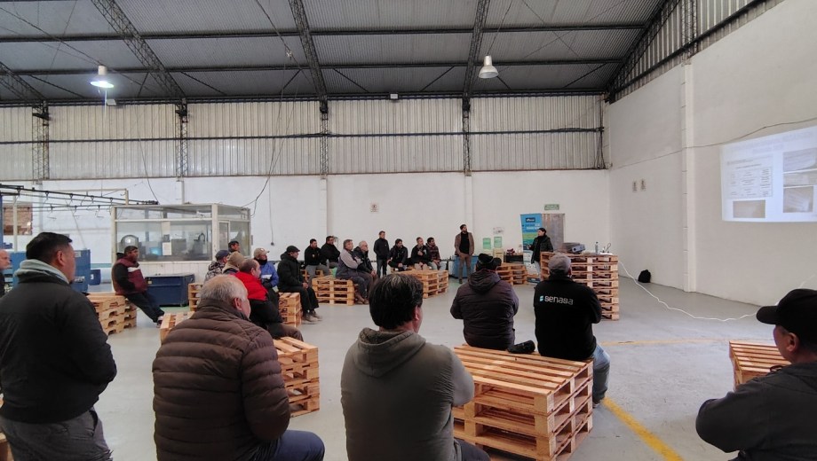 Buenas Prácticas Agrícolas, Villa Regina.