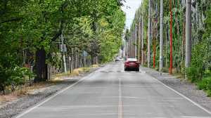 Cipolletti recibió una sola oferta por la obra de la bicisenda en la calle Salto