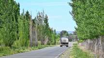 Imagen de Caminos rurales en el Alto Valle: más de 240 km asfaltados impulsan la producción local