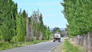 Caminos rurales en el Alto Valle: más de 240 km asfaltados impulsan la producción local